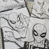 Spider-man 蜘蛛俠Play Pack