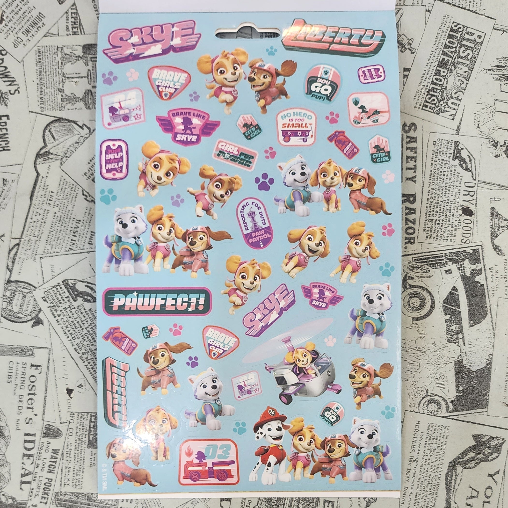 Paw Patrol 汪汪隊貼紙冊