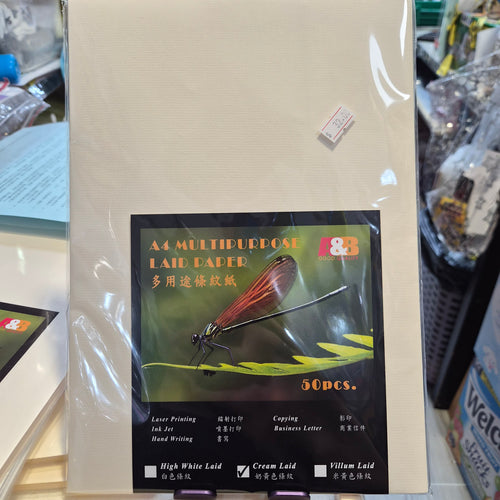 A&B牌 A4 100g多用途條紋紙 書寫紙 文具用品