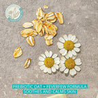 Aveeno Oat Gel Moisturizer｜益生元燕麥＋小白菊 Feverfew｜敏感肌保濕
