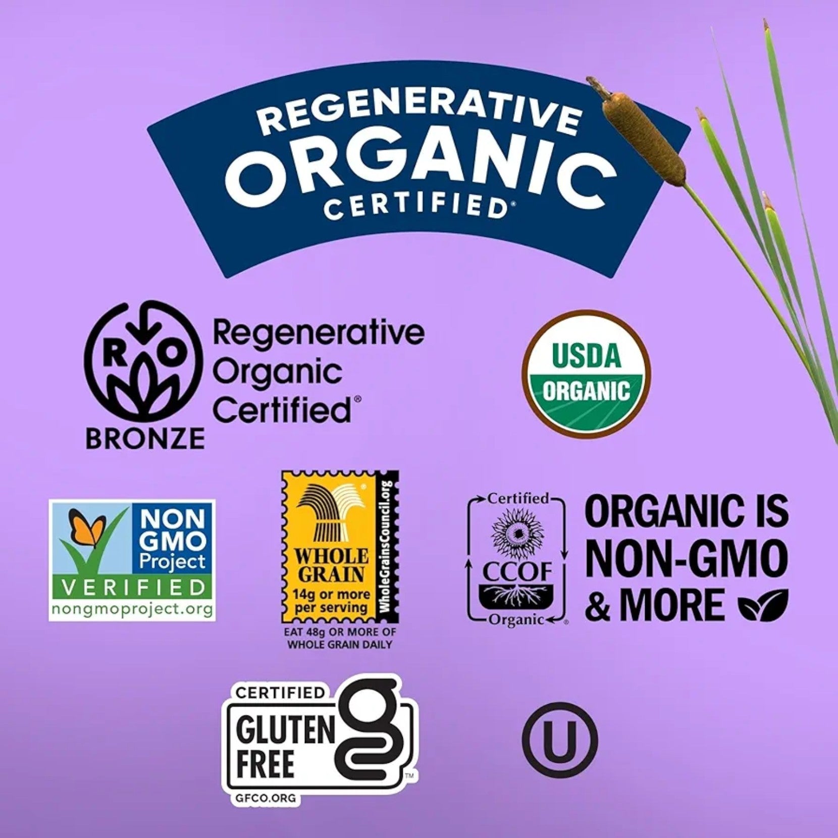Lundberg Organic Brown Rice Cakes包裝