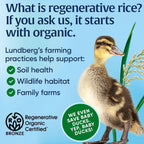 Lundberg有機糙米薄餅成分資料