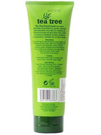 Tea Tree 茶樹面部磨砂膏250ml