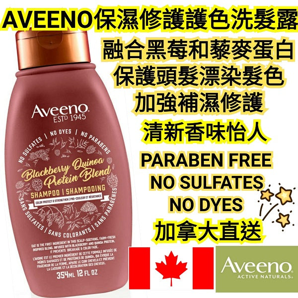 Aveeno黑莓藜麥蛋白質混合物無硫酸鹽洗髮水(護色)(美加直送✈️)