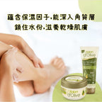 Dalan d' Olive 天然橄欖油保濕潤膚霜 250ml