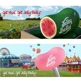 Jelly Belly Mini Packs,雪糕雜錦味迷你裝糖豆