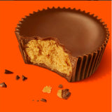 Reese's Peanut Butter Mini Cup 分享大包裝900g(約100粒)